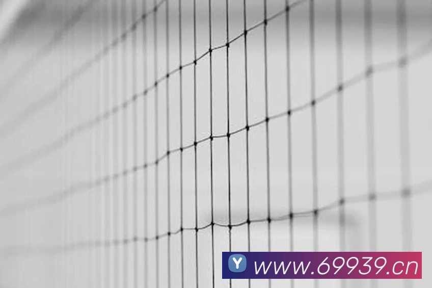 pg国际网APP 封面图